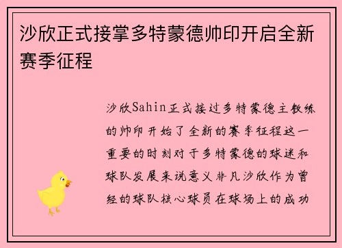 沙欣正式接掌多特蒙德帅印开启全新赛季征程