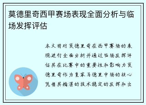 莫德里奇西甲赛场表现全面分析与临场发挥评估